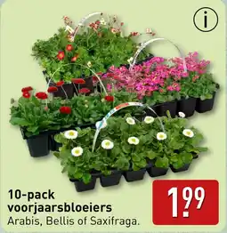 ALDI 10 pack voorjaarsbloeiers aanbieding