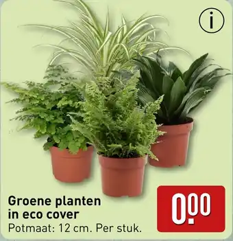 ALDI Groene planten in eco cover aanbieding