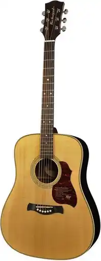 Bol.com Akoestische gitaar dreadnought D-65-VA aanbieding