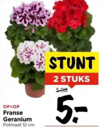 Vomar Voordeelmarkt Franse Geranium aanbieding