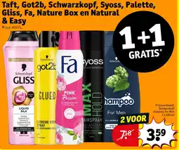 Kruidvat Taft, Got2b, Schwarzkopf, Syoss, Palette, Gliss, Fa, Nature Box en Natural & Easy aanbieding