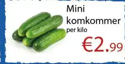 Tanger Markt Mini komkommer aanbieding