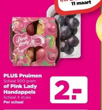 PLUS PLUS Pruimen of Pink Lady Handappels aanbieding