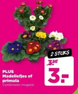 PLUS PLUS Madeliefjes of primula aanbieding