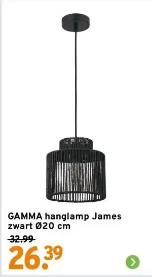 GAMMA GAMMA hanglamp James zwart Ø20 cm aanbieding