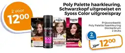 Trekpleister Poly Palette haarkleuring, Schwarzkopf uitgroeiset en Syoss Color uitgroeispray aanbieding