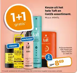 Trekpleister Taft en Got2b assortiment aanbieding