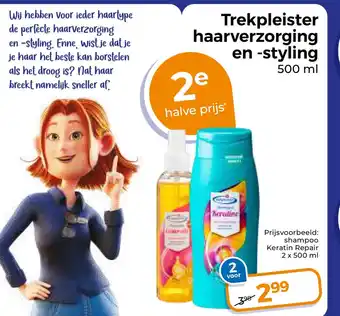 Trekpleister Trekpleister haarverzorging en styling aanbieding