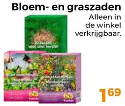 Trekpleister Bloem en graszaden aanbieding