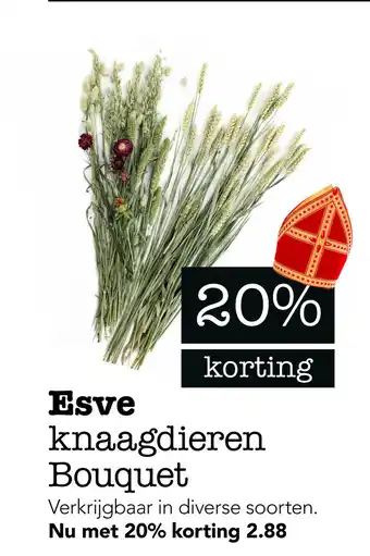 Dierspecialist Esve knaagdieren Bouquet aanbieding