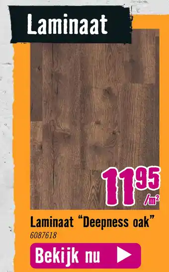 Hornbach Laminaat “Deepness oak" 17 aanbieding