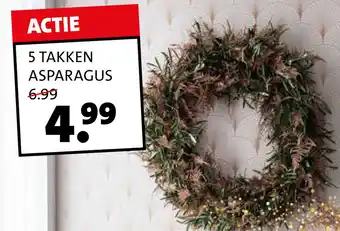 Intratuin 5 TAKKEN ASPARAGUS aanbieding