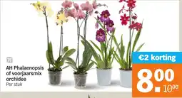 Albert Heijn AH Phalaenopsis of voorjaarsmix orchidee aanbieding