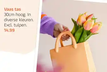 Coppelmans Vaas tas aanbieding