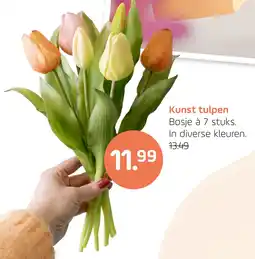 Coppelmans Kunst tulpen aanbieding