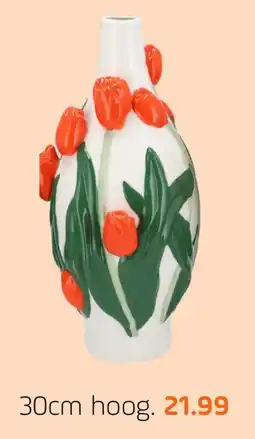 Coppelmans Tulpen vazen aanbieding