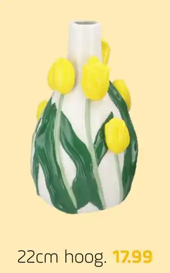 Coppelmans Tulpen vazen aanbieding