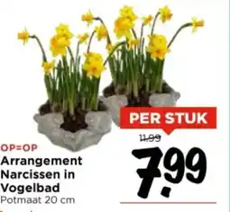 Vomar Voordeelmarkt Arrangement Narcissen in Vogelbad aanbieding