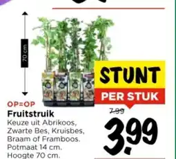 Vomar Voordeelmarkt Fruitstruik aanbieding