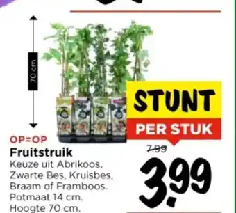 Vomar Voordeelmarkt Fruitstruik aanbieding