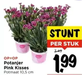 Vomar Voordeelmarkt Potanjer Pink Kisses aanbieding