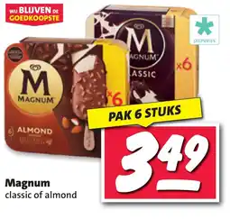 Nettorama Magnum aanbieding