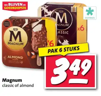 Nettorama Magnum aanbieding