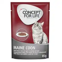 Zooplus 48x85g Maine Coon Adult (Ragout kwaliteit) Concept for Life Kattenvoer aanbieding