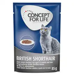 Zooplus 48x85g British Shorthair Adult (Ragout Kwaliteit) Concept for Life Kattenvoer aanbieding