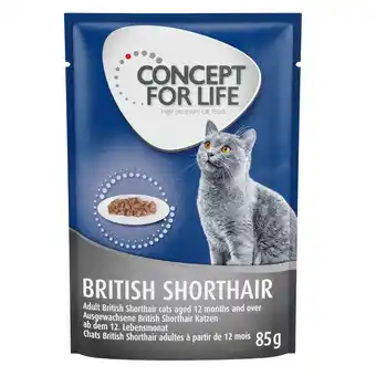 Zooplus 48x85g British Shorthair Adult (Ragout Kwaliteit) Concept for Life Kattenvoer aanbieding