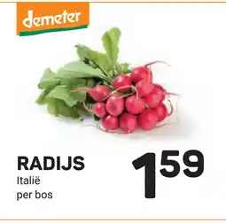 Ekoplaza Radijs aanbieding