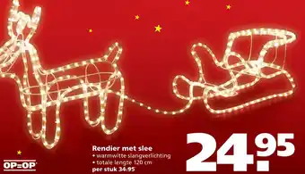 Ranzijn Rendier met slee aanbieding