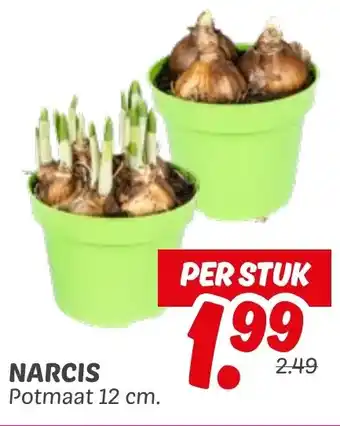 Dekamarkt Narcis aanbieding