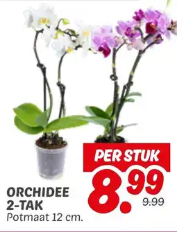 Dekamarkt Orchidee 2 tak aanbieding