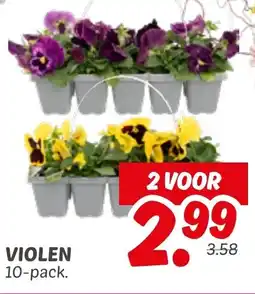 Dekamarkt Violen aanbieding