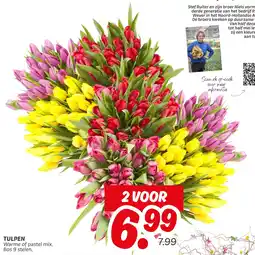 Dekamarkt Tulpen aanbieding