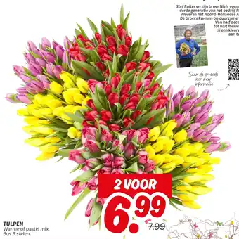 Dekamarkt Tulpen aanbieding