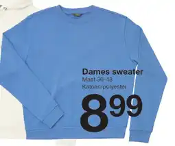 Zeeman Dames sweater aanbieding