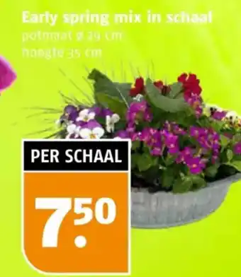 Poiesz Early spring mix in schaal aanbieding