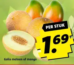 Boni Galia meloen of mango aanbieding