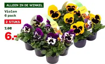 Welkoop Violen aanbieding