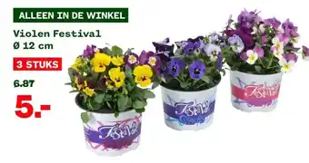 Welkoop Violen Festival aanbieding