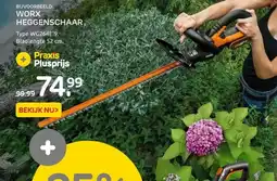 Praxis WORX HEGGENSCHAAR aanbieding