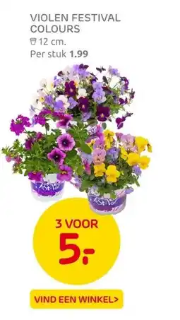 Praxis VIOLEN FESTIVAL COLOURS aanbieding