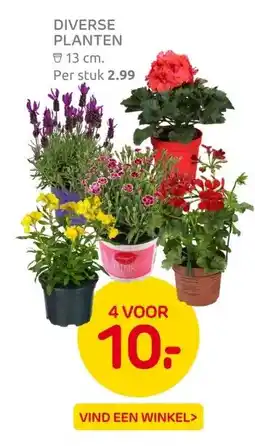 Praxis DIVERSE PLANTEN aanbieding