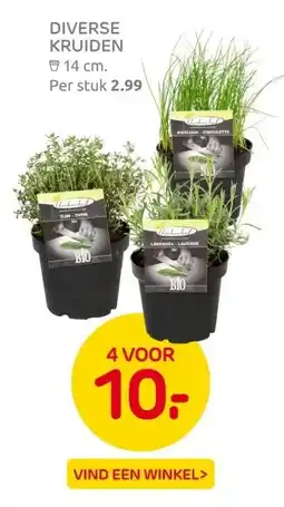 Praxis DIVERSE KRUIDEN aanbieding