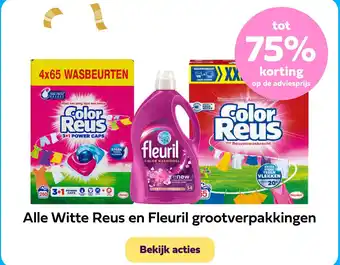 Plein.nl Alle Witte Reus en Fleuril grootverpakkingen aanbieding