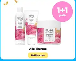 Plein.nl Alle Therme aanbieding