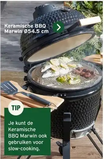 GAMMA Keramische BBQ Marwin Ø 54.5 cm aanbieding