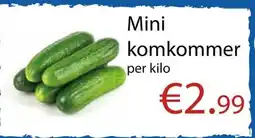 Tanger Markt Mini komkommer aanbieding